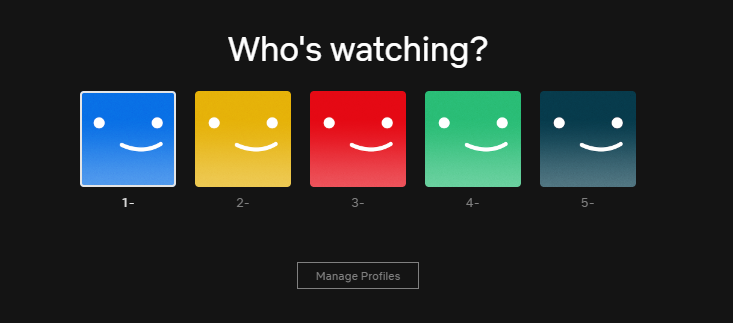 Netflix个人资料配置界面 - 多用户共享账户设置指南